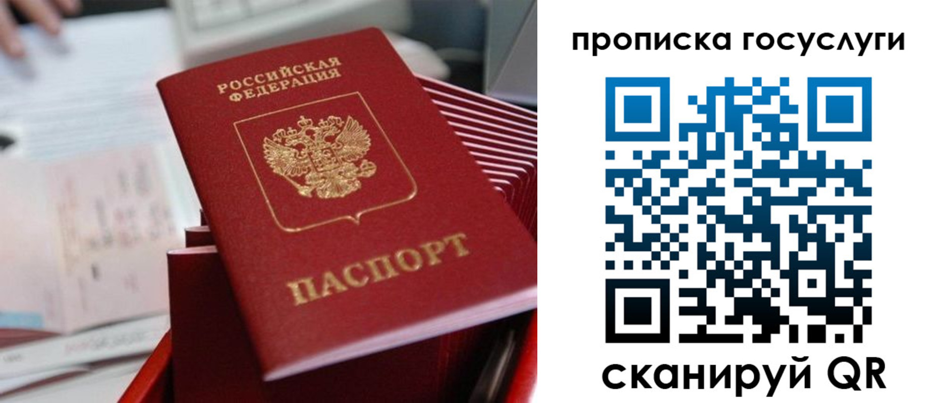 прописка законно в Смоленске